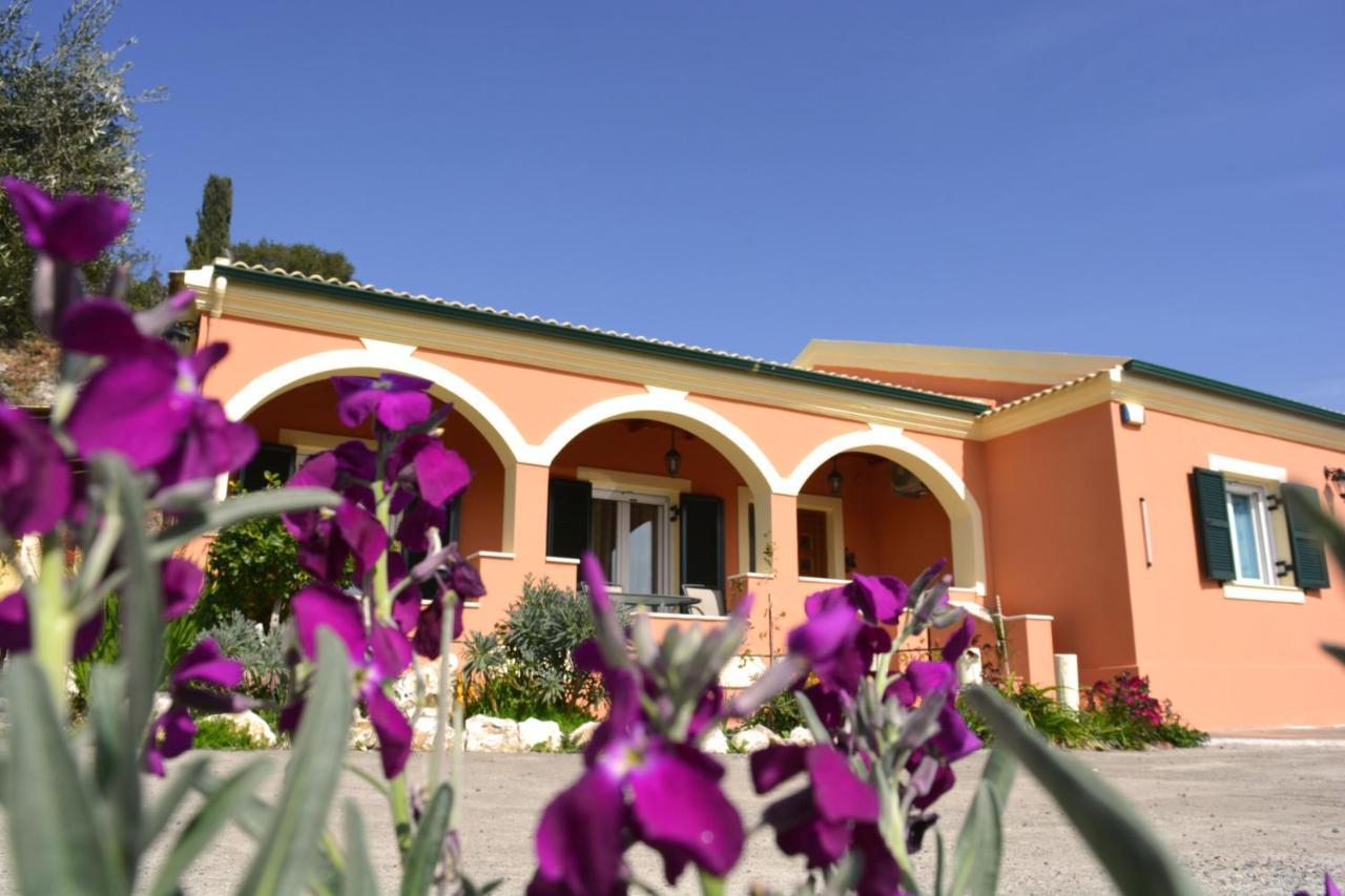 Villa Skafonas Sinarádes Exterior foto