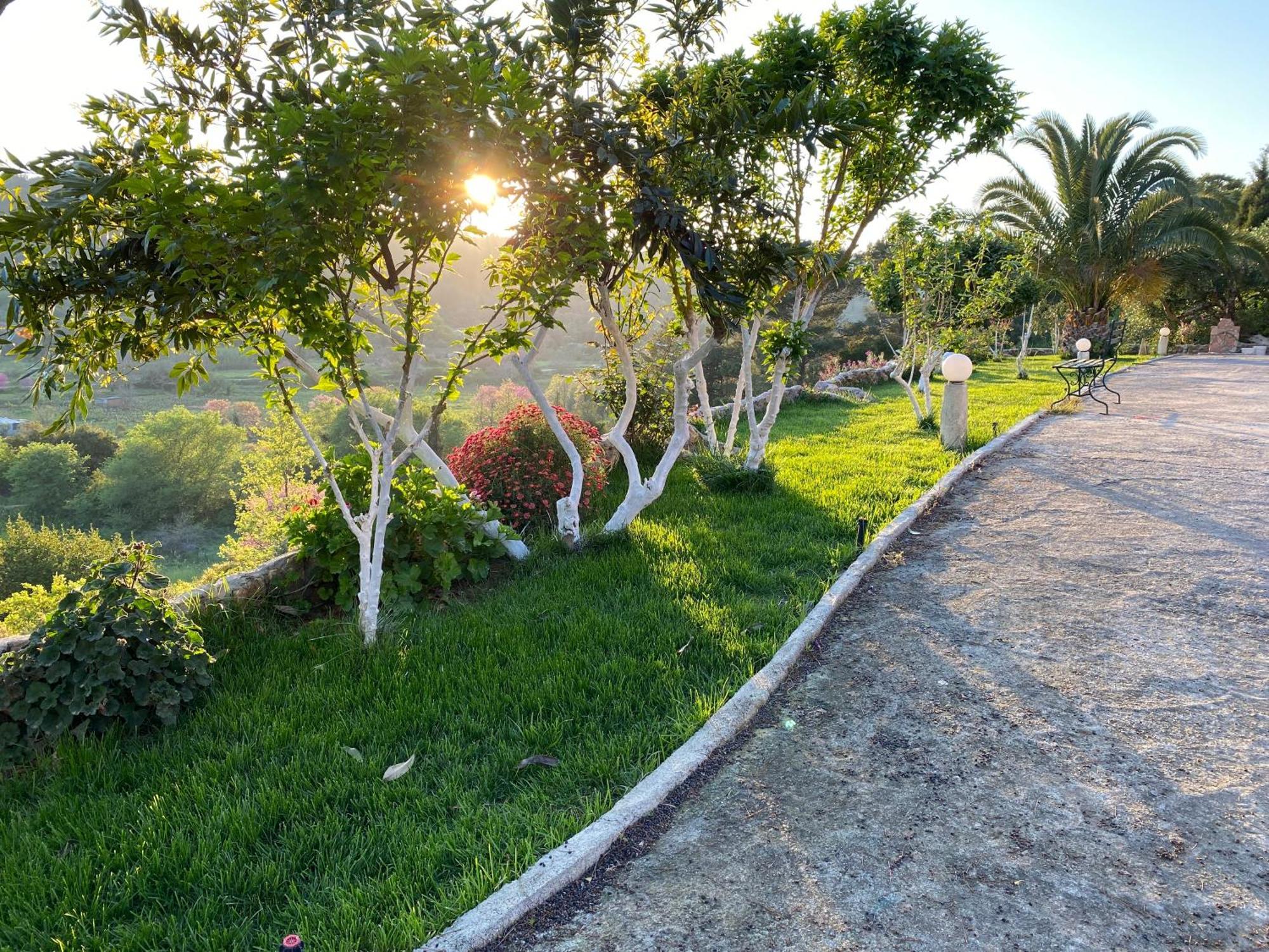Villa Skafonas Sinarádes Exterior foto